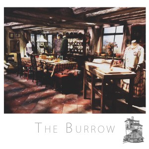 The Burrow